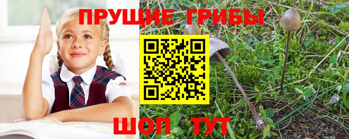 Галлюциногенные грибы прущие грибы Сочи