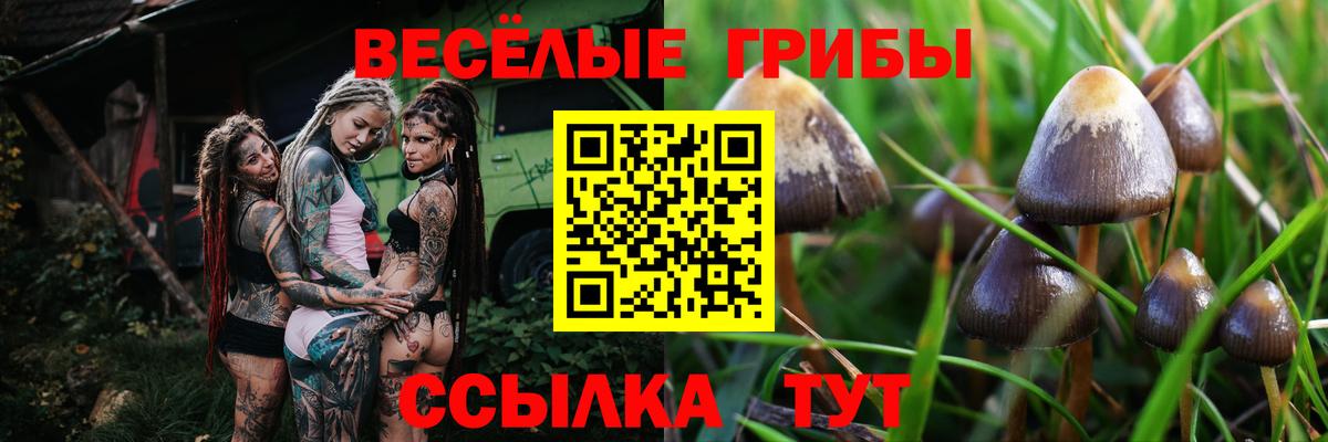 Сочи  Галлюциногенные грибы Magic Shrooms  Вход с VPN  Галлюциногенные грибы мицелий 